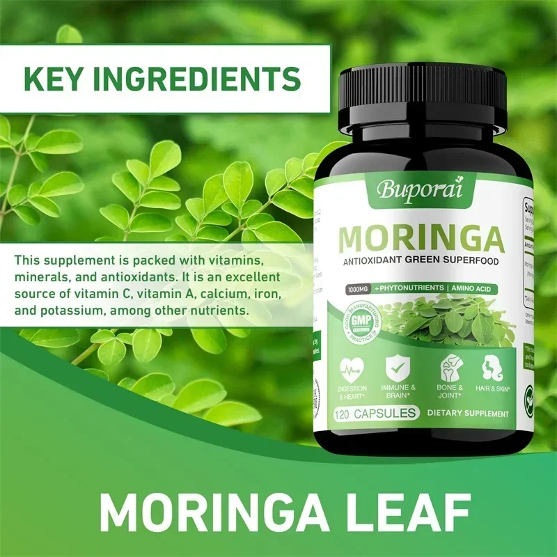 Капсулы с морингой - антиоксид – обзор и цена Moringa Leaf Powder