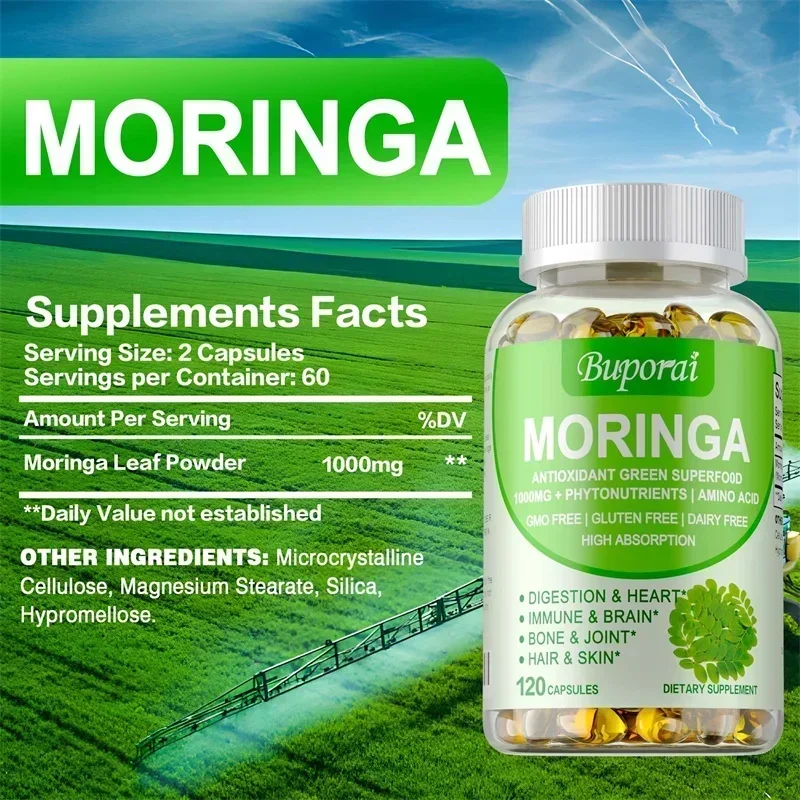 Капсулы Моринга — поддерживают – обзор и цена Moringa Leaf Powder