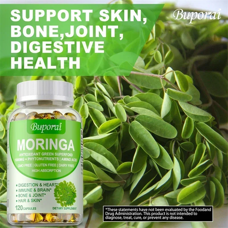 Капсулы Моринга — поддерживают – обзор и цена Moringa Leaf Powder